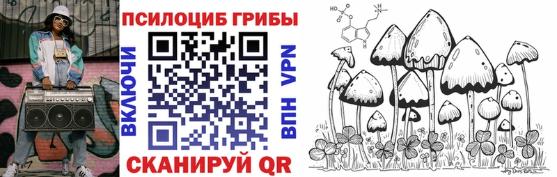 Псилоцибиновые грибы Cubensis Купить закладки Горно-Алтайск
